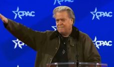 Steve Bannon