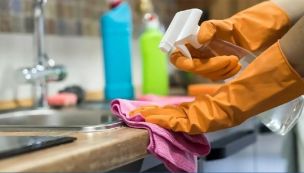 trabajadoras Casas Particulares