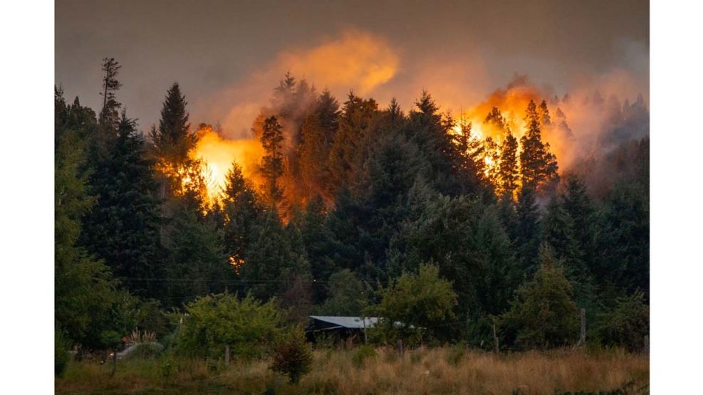 Incendios febrero 2025