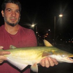 Solo la lombriz resultó efectiva como carnada; filet, salame y pasta no produjeron capturas. 