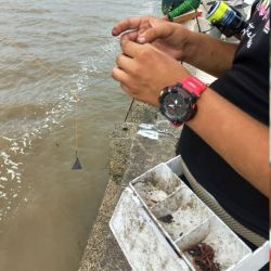 En el club Municipalizado de La Plata, escenario para esta reunión piscatoria que juntó a tradicionales exponentes de Fepylba con calificados pescadores de la Metropolitana.