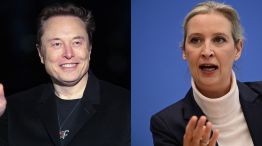 Alice Weidel y Elon Musk.