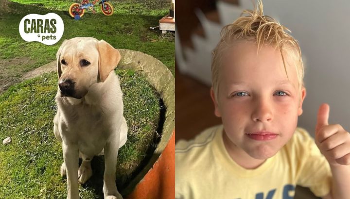 Las fotos más tiernas de Mirko, el hijo de Marley, junto a su perro Bailey