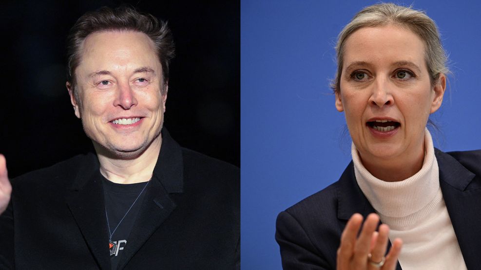 Alice Weidel y Elon Musk.