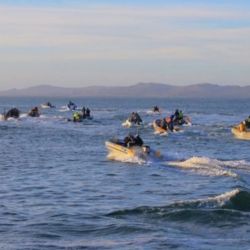 Aunque la pesca de altura del salmón es el evento insignia de la fiesta, se anuncian como cada año espectáculos artísticos y musicales, con una amplia grilla de artistas locales, regionales y nacionales que animarán cada jornada.