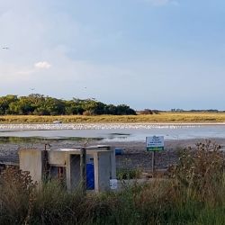 La condición es dramática y cuenta con apenas 5 cm de agua en una de sus márgenes, mientras que del lado del Club San Nicolás el nivel no supera los 35 cm.