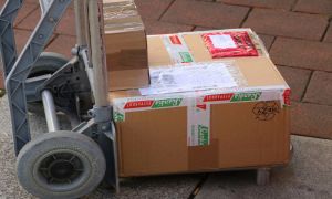 Envíos vía courier 20250225