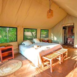 Seis días de intensa travesía, campamento a orillas del río, caminatas, gastronomía autóctona y la cercanía con una fauna increíble en El Impenetrable.