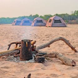 Seis días de intensa travesía, campamento a orillas del río, caminatas, gastronomía autóctona y la cercanía con una fauna increíble en El Impenetrable.