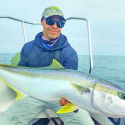 El pez limón es una especie muy buscada en verano.