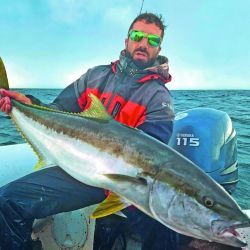 El pez limón es una especie muy buscada en verano.