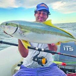 El pez limón es una especie muy buscada en verano.