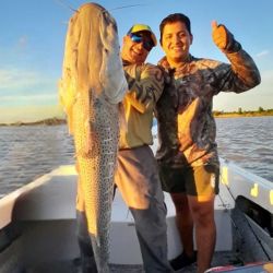 Este nuevo registro reafirma la riqueza ictícola de la zona y mantiene viva la pasión por la pesca deportiva, una tradición que continúa atrayendo visitantes de distintas partes del país en busca de experiencias únicas en el río Paraná.