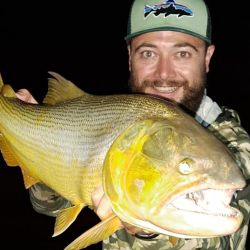 La abundancia de palometas de día hace que los mejores resultados se den en la pesca nocturna.