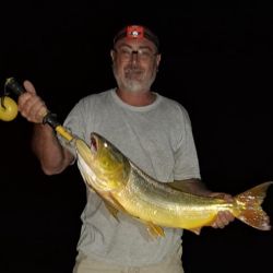 La abundancia de palometas de día hace que los mejores resultados se den en la pesca nocturna.