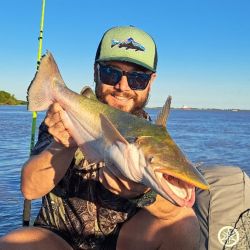 La abundancia de palometas de día hace que los mejores resultados se den en la pesca nocturna.