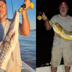 La abundancia de palometas de día hace que los mejores resultados se den en la pesca nocturna.