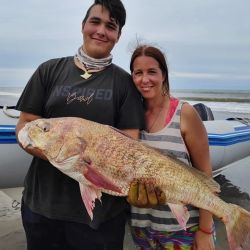 Las corvinas son la vedette en este mes de febrero, aunque está la chance de dar con buenos tiburones y el resto de la variada. En la pesca de altura, salmones son las estrella. 
