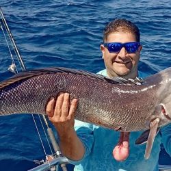 Las corvinas son la vedette en este mes de febrero, aunque está la chance de dar con buenos tiburones y el resto de la variada. En la pesca de altura, salmones son las estrella. 