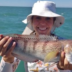 Las corvinas son la vedette en este mes de febrero, aunque está la chance de dar con buenos tiburones y el resto de la variada. En la pesca de altura, salmones son las estrella. 
