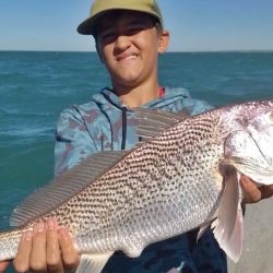 Las corvinas son la vedette en este mes de febrero, aunque está la chance de dar con buenos tiburones y el resto de la variada. En la pesca de altura, salmones son las estrella. 