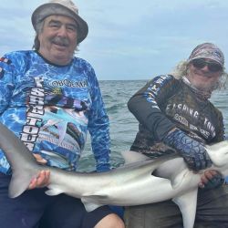 Las corvinas son la vedette en este mes de febrero, aunque está la chance de dar con buenos tiburones y el resto de la variada. En la pesca de altura, salmones son las estrella. 