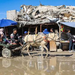  Un palestino conduce su carreta tirada por un burro frente a los puestos de un mercado en Jabalia, en el norte de la Franja de Gaza. Foto de Omar AL-QATTAA / AFP | Foto:AFP