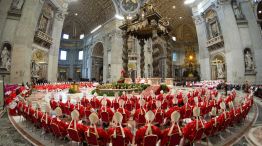 cardenales