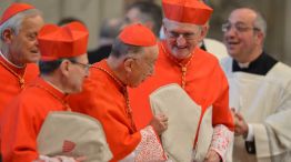 cardenales