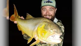 La abundancia de palometas de día hace que los mejores resultados se den en la pesca nocturna.