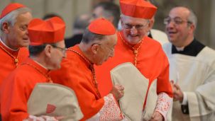 cardenales