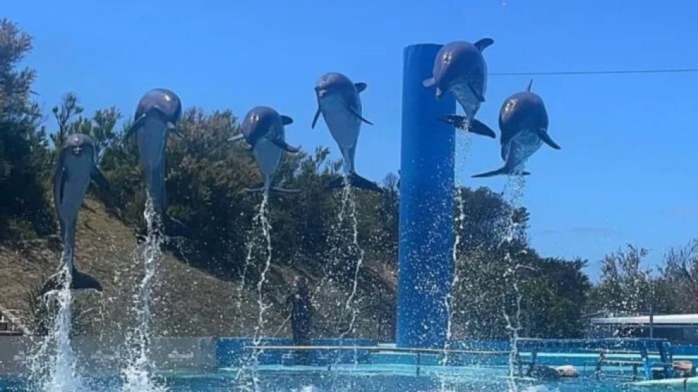 Mar del Plata: cierra el aquarium tras 32 años ¿cuáles son las causas?