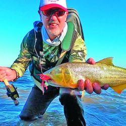 Entre Buenos Aires y San Fernando hay bajadas al río que son públicas y con abras de juncos muy prometedoras para tentar dorados de muy respetable tamaño. 