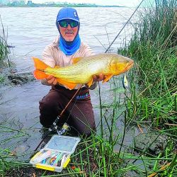 Entre Buenos Aires y San Fernando hay bajadas al río que son públicas y con abras de juncos muy prometedoras para tentar dorados de muy respetable tamaño. 