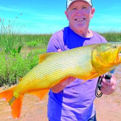 Entre Buenos Aires y San Fernando hay bajadas al río que son públicas y con abras de juncos muy prometedoras para tentar dorados de muy respetable tamaño. 
