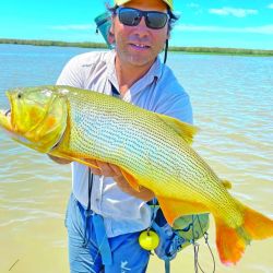 Entre Buenos Aires y San Fernando hay bajadas al río que son públicas y con abras de juncos muy prometedoras para tentar dorados de muy respetable tamaño. 