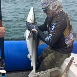 En vísperas de un nuevo mes, el pescador comienza a dejar de lado la playa y a pensar en las lagunas con el pejerrey como estrella principal.