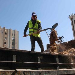 Un trabajador arregla una carretera en la ciudad de Gaza, en el centro de la Franja de Gaza. Foto de Omar AL-QATTAA / AFP | Foto:AFP