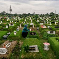 Una mujer musulmana coloca flores en la tumba de un familiar en un cementerio como parte de una tradición en del mes sagrado de ayuno del Ramadán. Foto de JUNI KRISWANTO / AFP | Foto:AFP