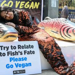 Una activista de Personas por el Trato Ético de los Animales (PETA) protesta por el veganismo en Hyderabad. Foto de NOAH SEELAM / AFP | Foto:AFP