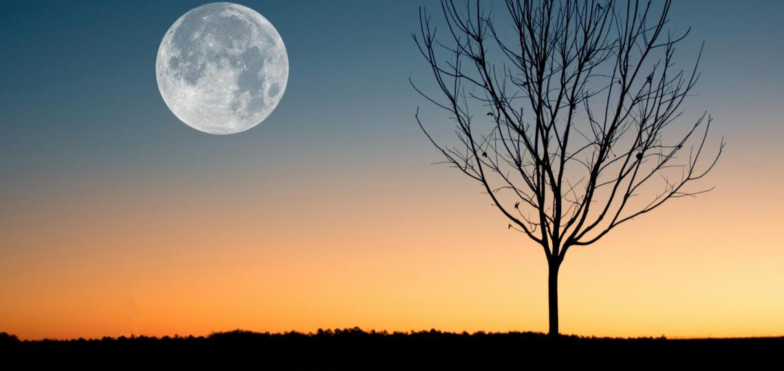 Luna de Gusano 2025: significado espiritual y cómo aprovechar su energía