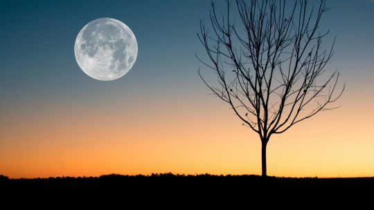 Luna llena de gusano