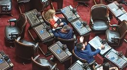 Manes mostrando la Constitución Nacional, lo que generó el cruce con el presidente Milei.