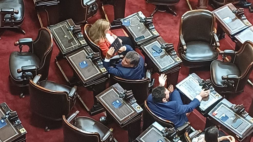 Manes mostrando la Constitución Nacional, lo que generó el cruce con el presidente Milei.