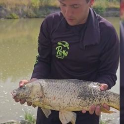 Desde hace buen tiempo, Lobos no es opción para el pescador que busca flechas de plata, si para dar con las carpas. 