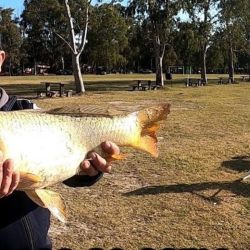 Desde hace buen tiempo, Lobos no es opción para el pescador que busca flechas de plata, si para dar con las carpas. 