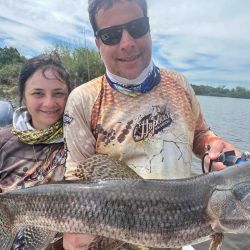 La pesca es siempre con devolución y se practica en modalidades bait cast como spinning, aunque también es posible el trolling. Sin embargo, la pesca con mosca resulta especialmente fascinante por la proporción entre el tamaño del equipo y el de los peces.