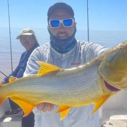 En esta ocasión no se dieron, pero días anteriores, además del tigre del río, el Plata viene regalando varios ejemplares de cachorros de surubí. 