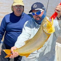 En esta ocasión no se dieron, pero días anteriores, además del tigre del río, el Plata viene regalando varios ejemplares de cachorros de surubí. 