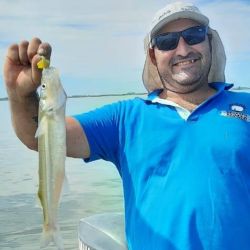 Breve repaso por los ámbitos que entregan buenas respuestas con el pejerrey y asoman entre los preferidos para el pescador.